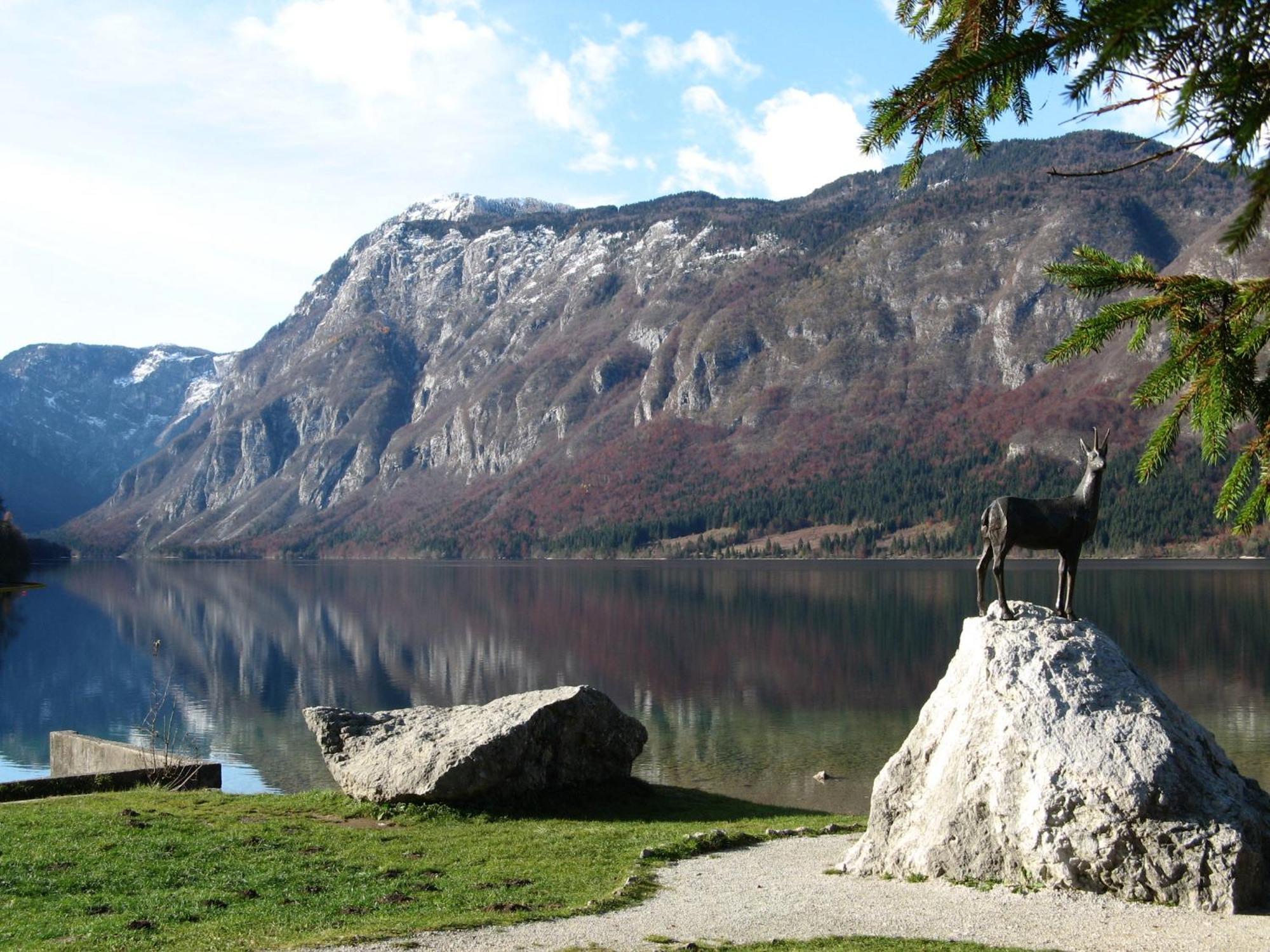 Apartments Na Vasi Bohinj Eksteriør billede