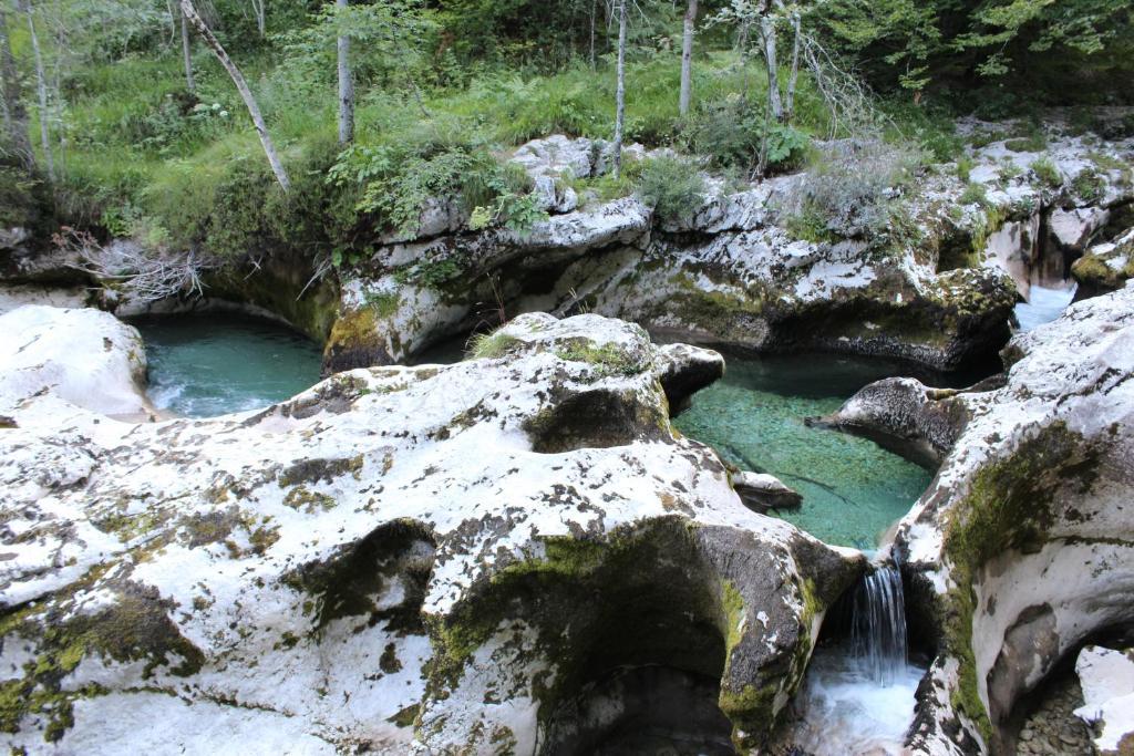 Apartments Na Vasi Bohinj Eksteriør billede